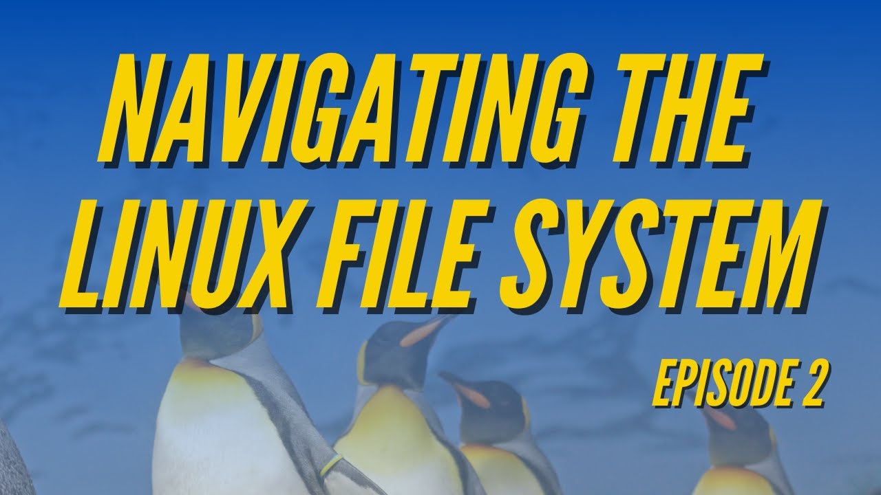 Episode 2 - Navigating the Linux File System via CLI